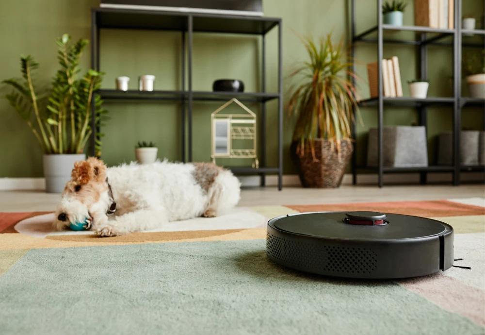 robot vacuum cleaning